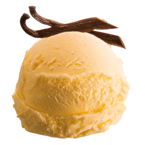 Lody waniliowe 5000 ml